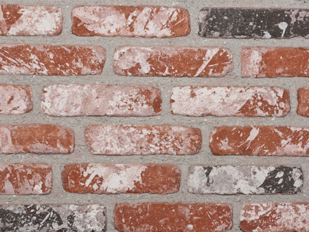 Briques et plaquettes de parement Vieux Oudenaerde - Loft Oudenaerde