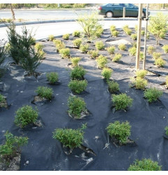 BioWeedtex toile de paillage écologique anti-mauvaises herbes