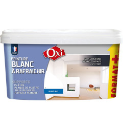 OXI Peinture anti-condensation 2.5L blanc